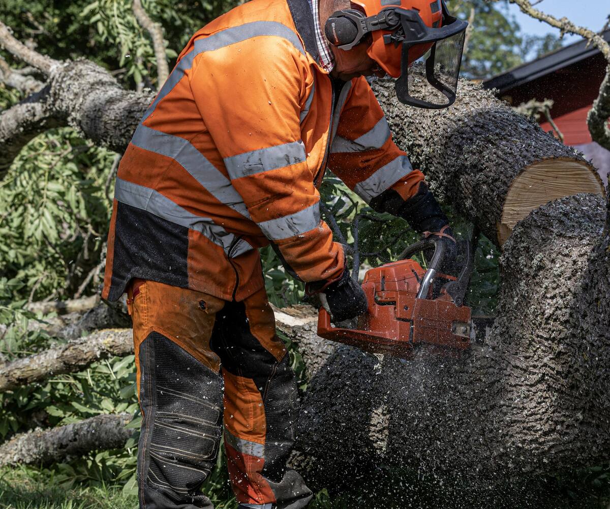 A UK tree surgeon at work