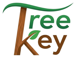 TreeKey original logo
