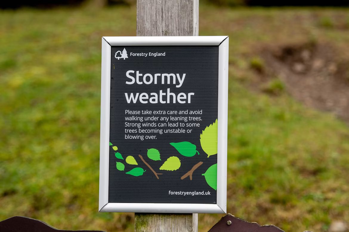 Forestry England stormy weather warning sign